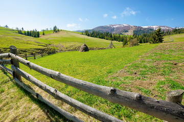 Fototapeta na wymiar mountainous rural landscape in spring. haystack on a grassy field behind the wooden fence on rolling hills. snow capped ridge in the distance. beautiful countryside scenery on a bright sunny day