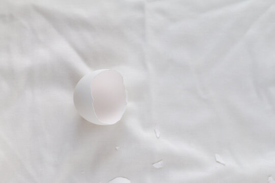 broken egg shell on white background with space for text, begging of life concept
