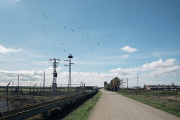 Landscape wallpaper. View of empty straight road. Birds flying in a blue sky with clouds.