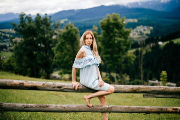 Fototapeta na wymiar Young attractive elegant blonde girl in blue romantic dress sitting on the wooden fence in the countryside