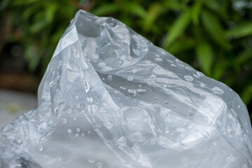 ice cubes in the garden