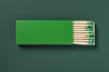 green matchbox and green match sticks on a green background