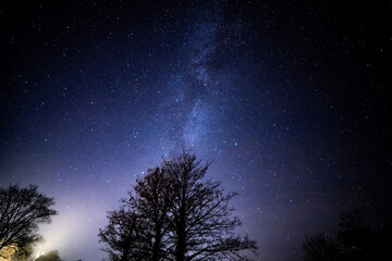 starry night sky