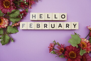 Hello February alphabet letters with pink flower decoration on purple background