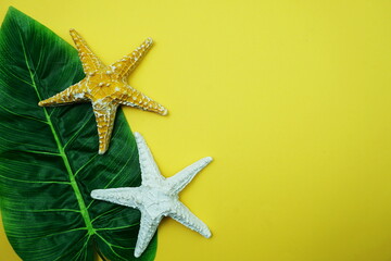 Fototapeta na wymiar Summer Background concept with green leave and starfish decoration on yellow background