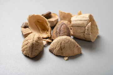 side view herb MangGuoHe or Mangifera indica or Semen Mangiferae Indicae