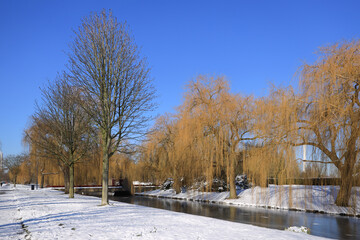 frozen water in park in Hoogvliet, dutch winter in The Netherlands, February