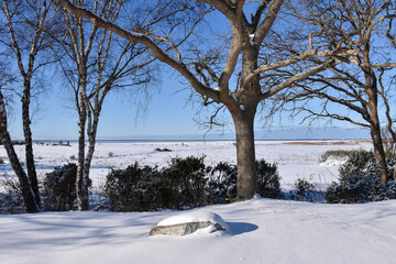 Winter view in a snowy landscape