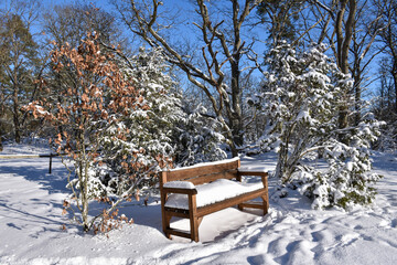 Snow covered bench in a winterland