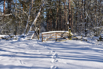 Winter by the entrance into the woods