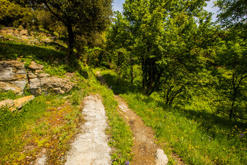Fototapeta premium Spring landscape in Falgars D En Bas, La Garrotxa, Spain