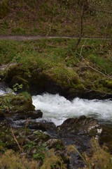 gushing water through the stones