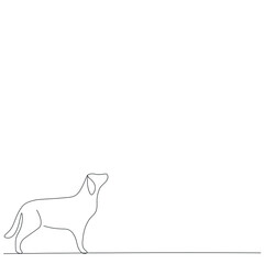 Dog animal line drawing on white background, vector illustration