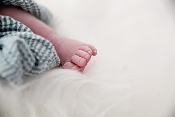 Feet of a newborn baby