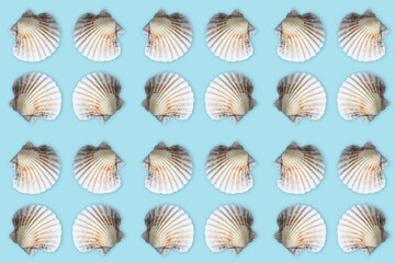 sea shell pattern on blue background