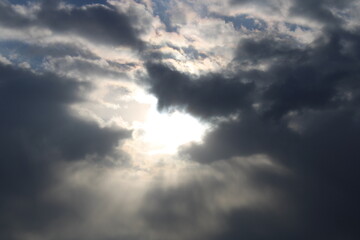 The sky in the forest, close to the taiga