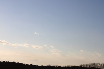 The sky in the forest, close to the taiga