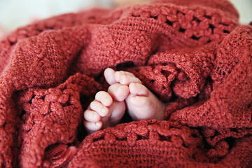 Feet of a newborn baby