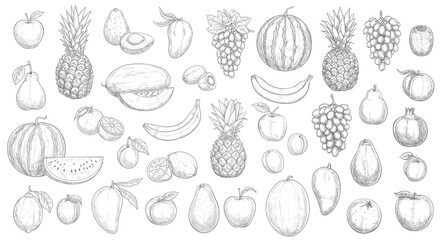 Sketch fruits isolated vector icons watermelon, pineapple, peach and mango with kiwi. Farm market, orchard or store garden and tropic exotic fruits banana, avocado, lemon with grapes and melon set