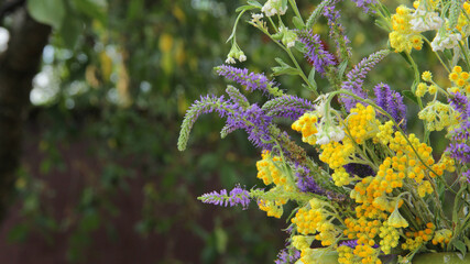 flowers in the garden