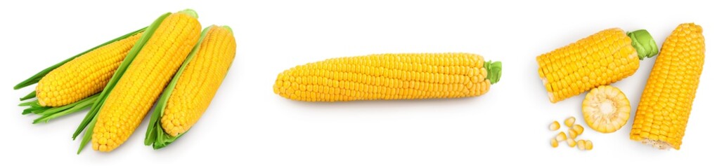 ear of corn isolated on a white background. Clipping path and full depth of field. Set or collection