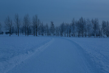 Snow-covered road into the evening park.