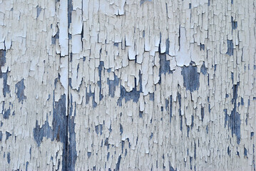 Close Up of Flaking White Paint on Textured Woodden Door 