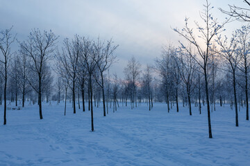 300 years park of Saint Petersburg, Russia in the winter evening.