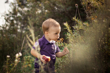 baby boy in autumn holds a yellow flower with one hand and sniffs it, and the second holds a red juicy apple that has been bitten off