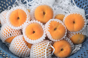 Ripe yellow peaches, delicious fruits of summer.