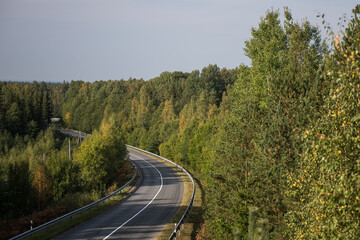 Image of a winding road through a forest.