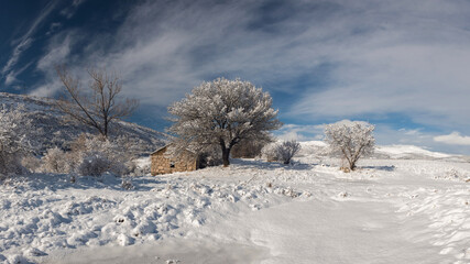a snowy landscape with a tree and an old house