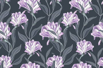 Art floral vector seamless pattern. Delicate purple Ipomoea, morning glory, isolated on a deep grey background. Curly flowers with grey leaves. For fabric, home and kitchen textile, wallpaper design.