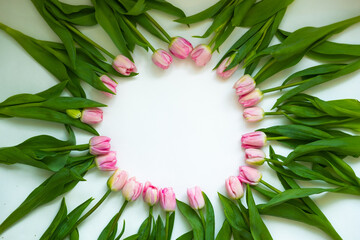tulips are light pink on a white background .bouquet for March 8 . space for text