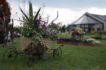 old cart with flowers