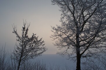 Fototapeta na wymiar Früher Sonnenaufgang - Frost -21,5 Grad - Februar 2021