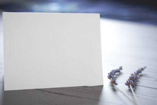 Blank white card with lavender flowers. Simple minimalist composition on white wooden background. Blue colors theme. Empty space for text. Copy space.