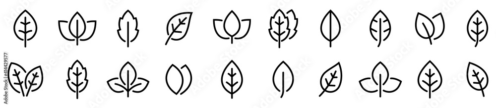 Wall mural leaf simple line icons set. leaf icon vector