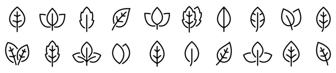Leaf simple line icons set. Leaf icon vector