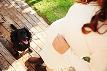 A pregnant couple with their black dog
