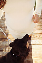 A pregnant couple with their black dog
