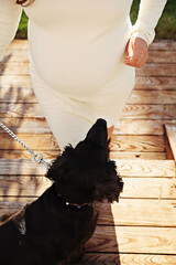 A pregnant couple with their black dog