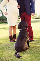 A pregnant couple with their black dog