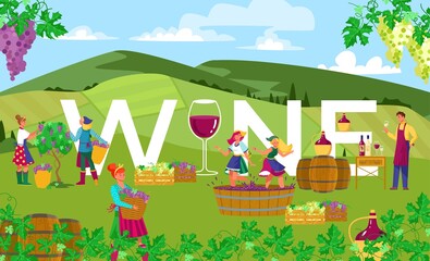 Production wine in countryside outdoors, successful agriculture, vineyard fields, harvesting, cartoon style vector illustration. Eexperienced winemaker, women collect and process grapes, press.