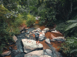 A stream and rocks in a tropical natural forest