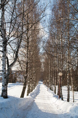 russian winter seven