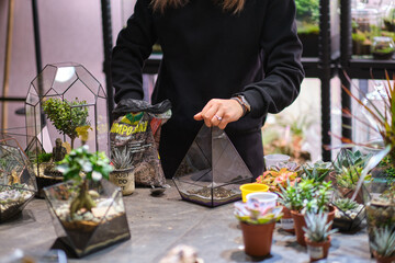 DIY florarium. Home gardening master class. Closeup of hands planting succulents in glass geometric shape vases