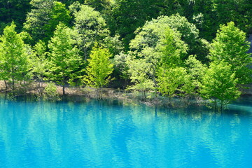 初夏の玉川ダム。仙北、秋田、日本。5月下旬。