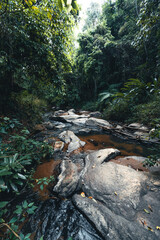 A stream and rocks in a tropical natural forest