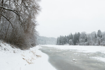 Fototapeta premium Sigulda Gauja National park river frozen water winter scene wonderland cloudy day cool tones